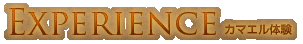 �J�}�G���̌�