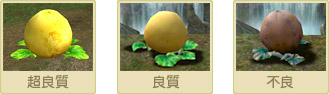 3��ނ̃|���i�摜