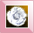 �A�C�R���摜