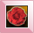 �A�C�R���摜