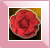 �A�C�R���摜